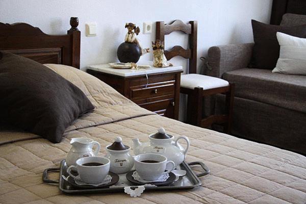 Hotel Petrino Makrinítsa Zewnętrze zdjęcie